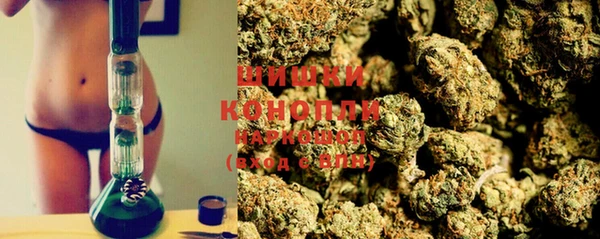 ешки Михайлов