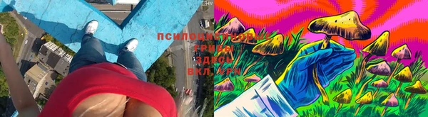 spice Михайловка