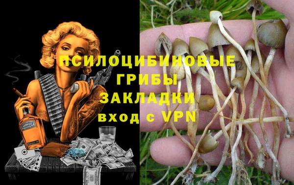 ешки Михайлов