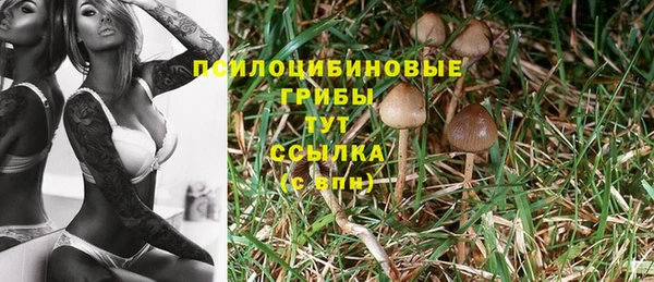 spice Михайловка