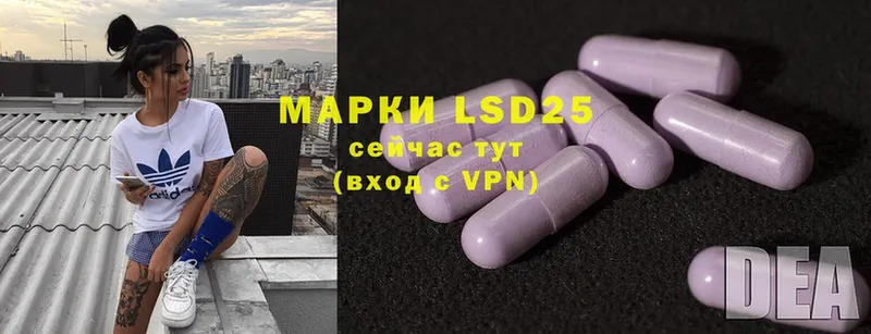 купить наркоту  omg   LSD-25 экстази кислота  Куртамыш 