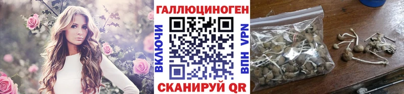 Галлюциногенные грибы MAGIC MUSHROOMS  Куртамыш 